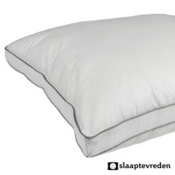 Alternative view of Box Kussen