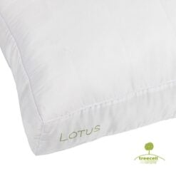 Alternative view of Lotus Kussen