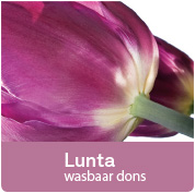 Polydaun Enkel Dekbed Dons 90% Lunta - Afbeelding 8