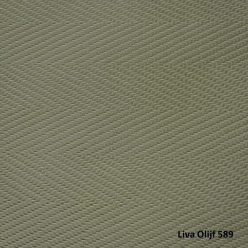 Dommelin Liva Olijf 589