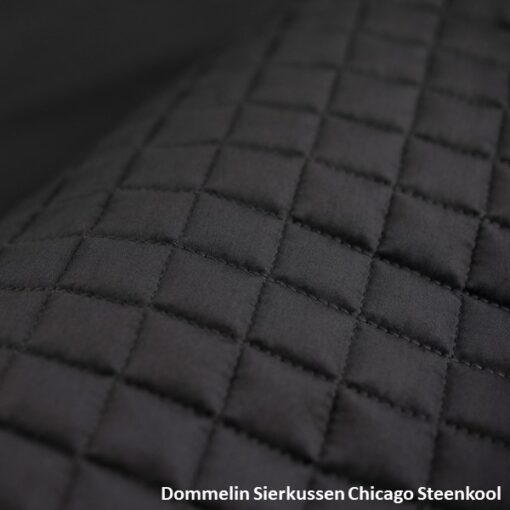 Dommelin sierkussen Chicago - Steenkool